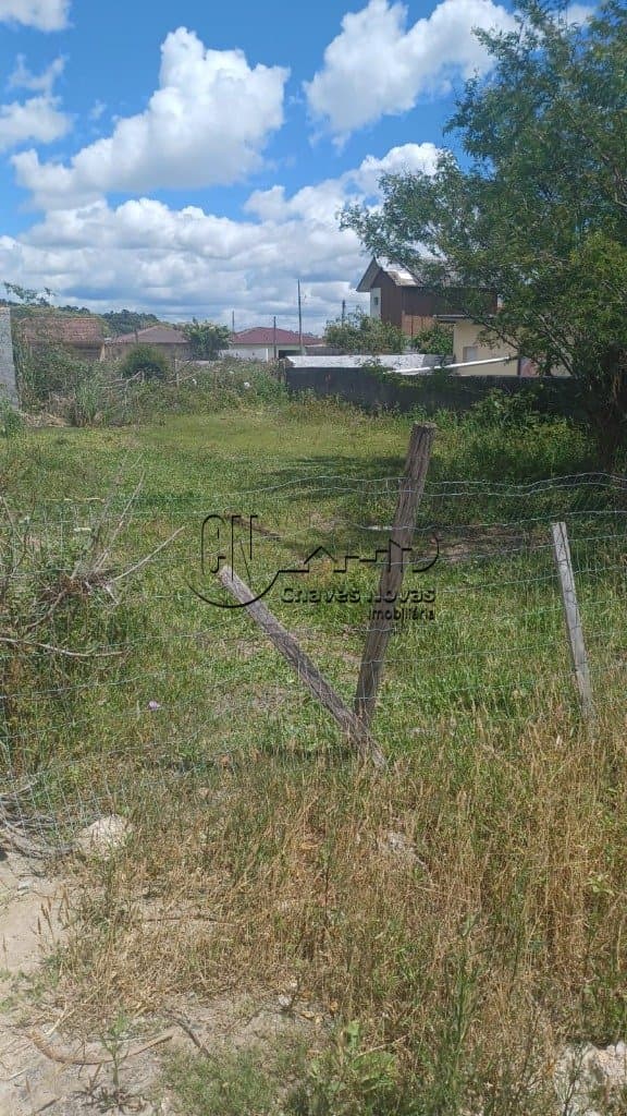 Imagem da propriedade 1496 2