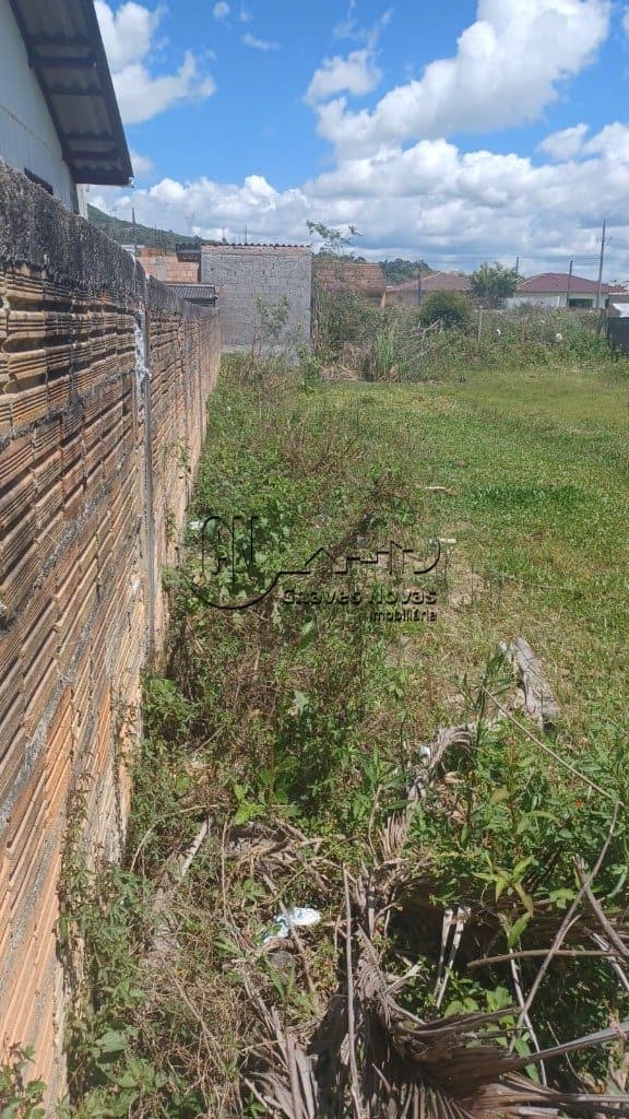 Imagem da propriedade 1496 4